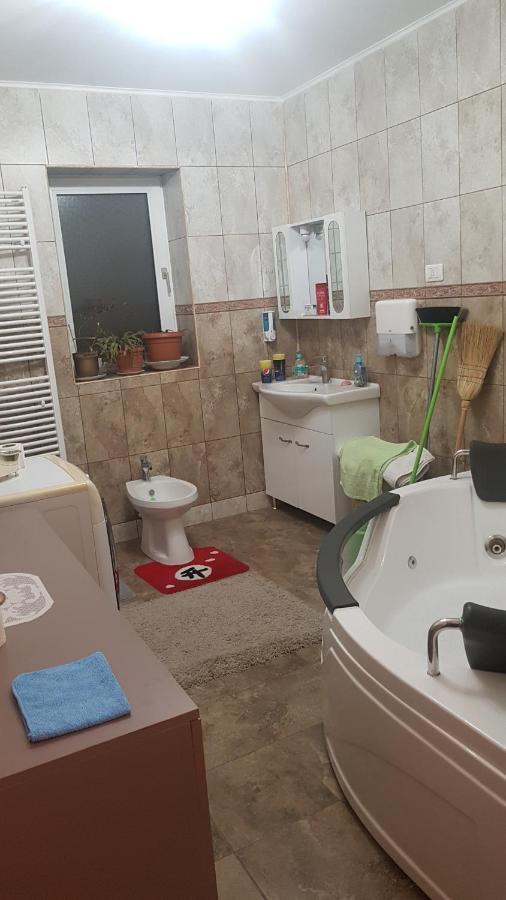 Casa Cojanu Hotel Petroşani Buitenkant foto