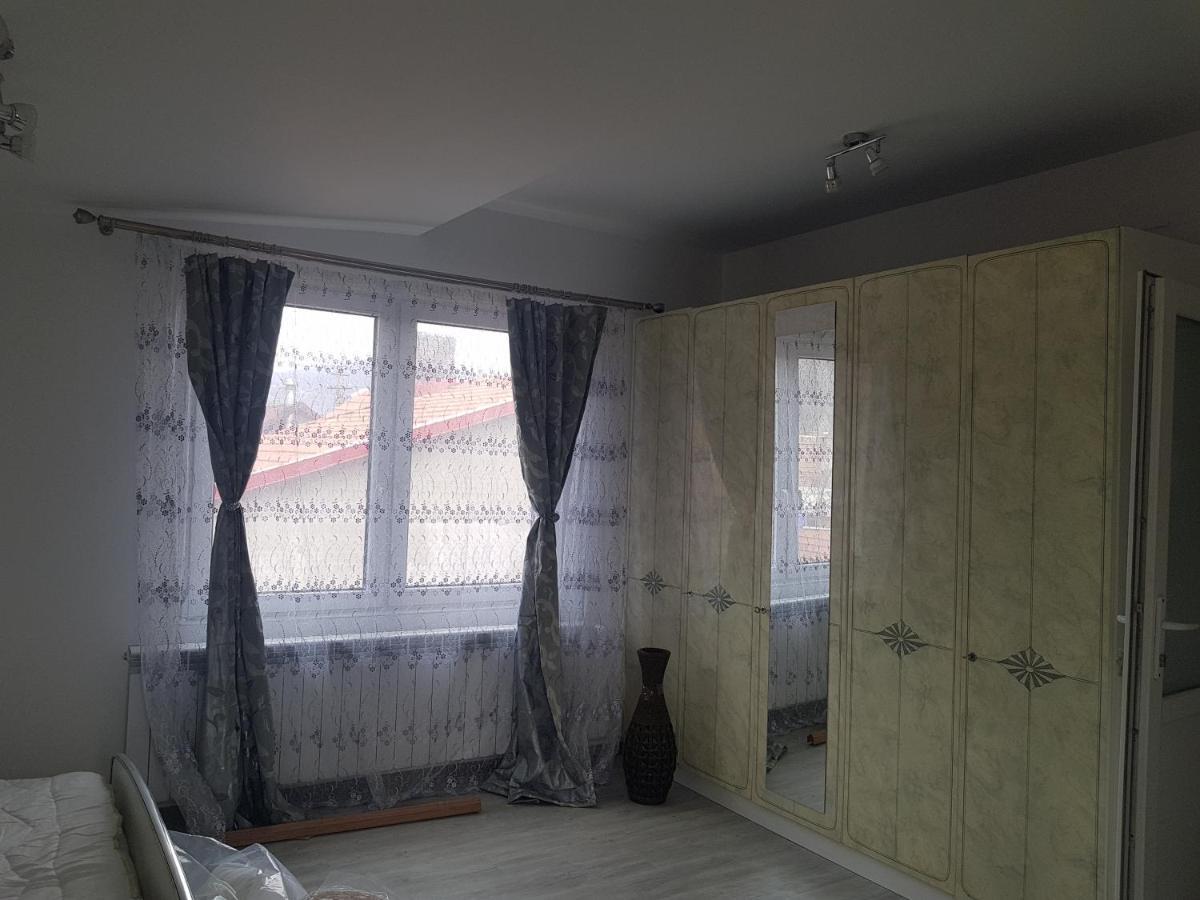 Casa Cojanu Hotel Petroşani Buitenkant foto