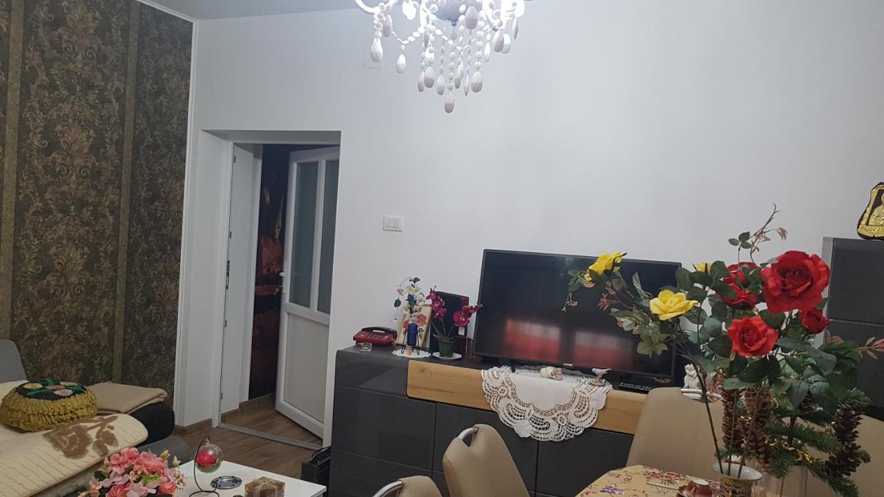Casa Cojanu Hotel Petroşani Buitenkant foto