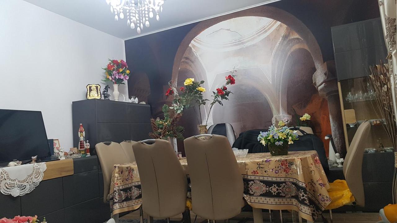 Casa Cojanu Hotel Petroşani Buitenkant foto