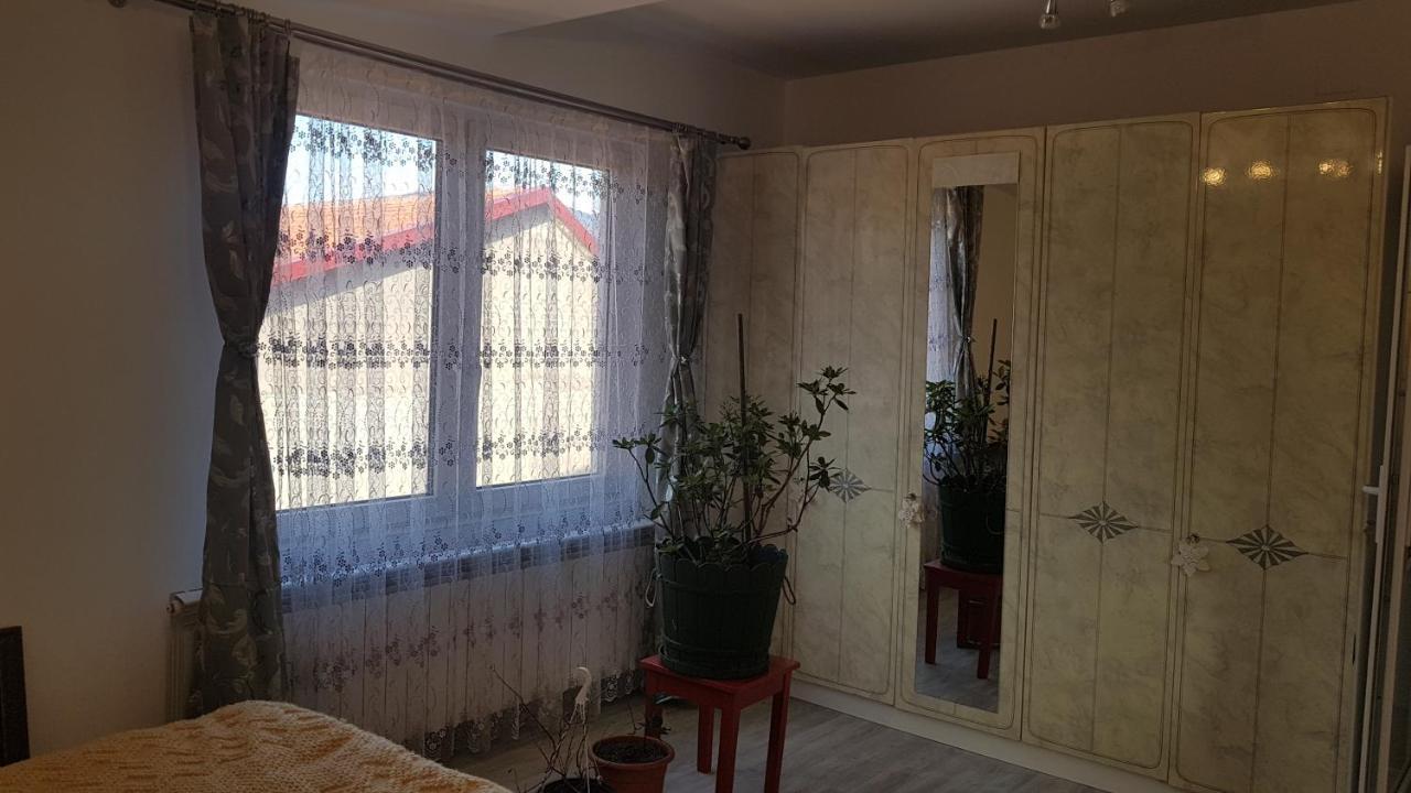 Casa Cojanu Hotel Petroşani Buitenkant foto