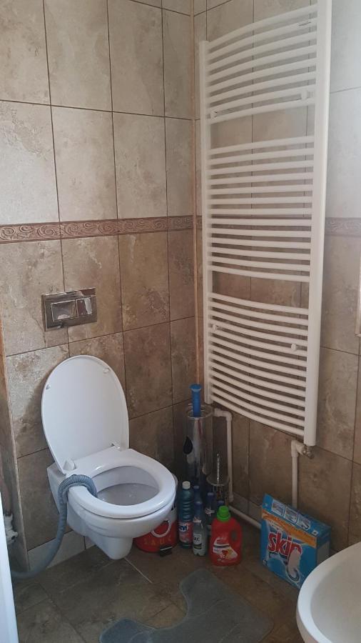 Casa Cojanu Hotel Petroşani Buitenkant foto