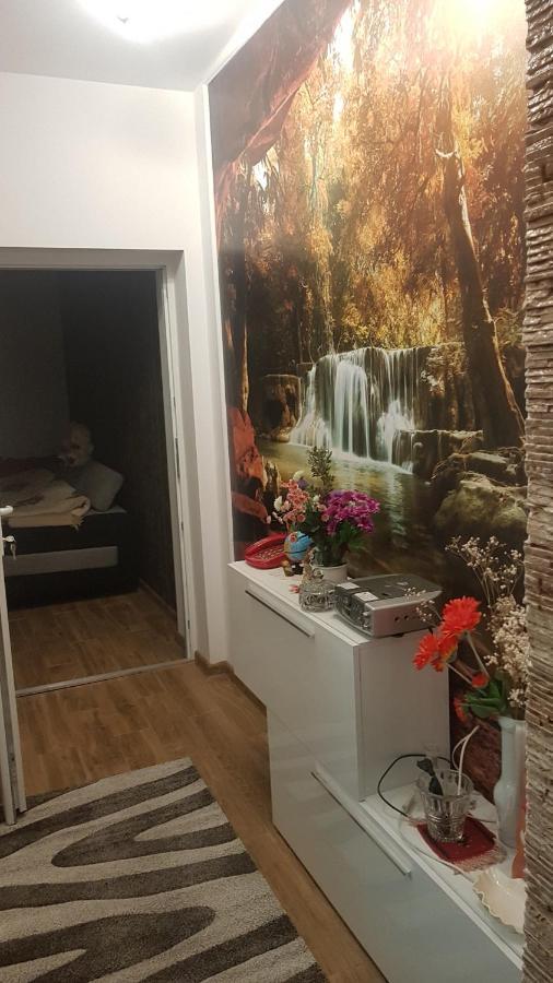 Casa Cojanu Hotel Petroşani Buitenkant foto